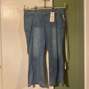 Gloria Vanderbilt shape effect flare leg smoothing panel technology high rise